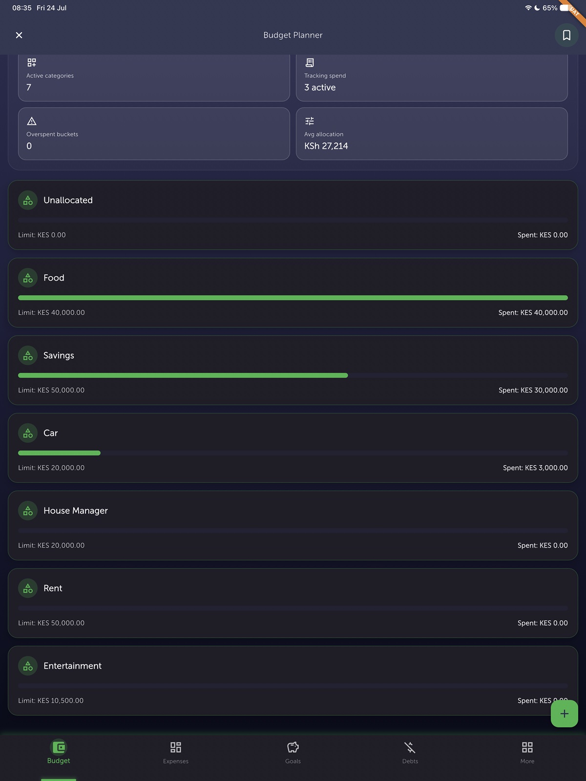 Zwela Budget Planner on iPad — category limits and spend progress