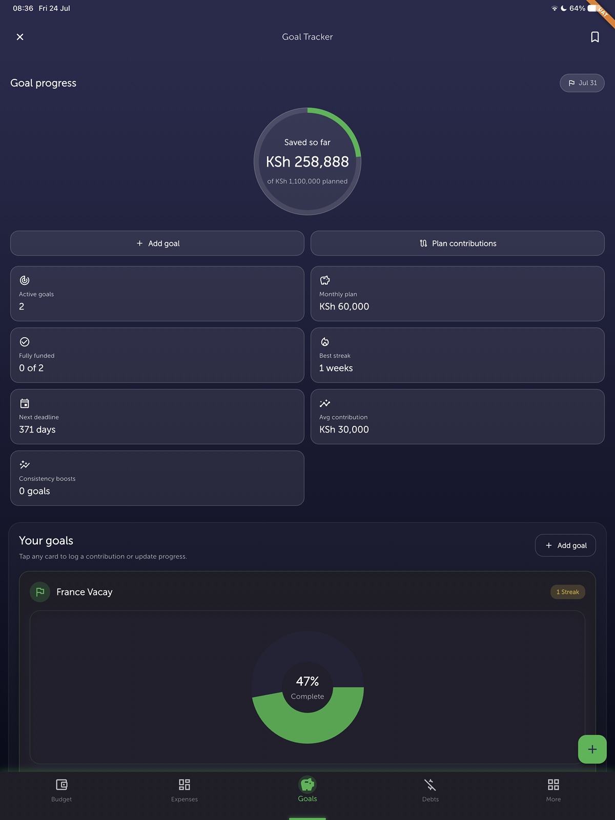 Zwela Goal Tracker on iPad — savings progress and streaks