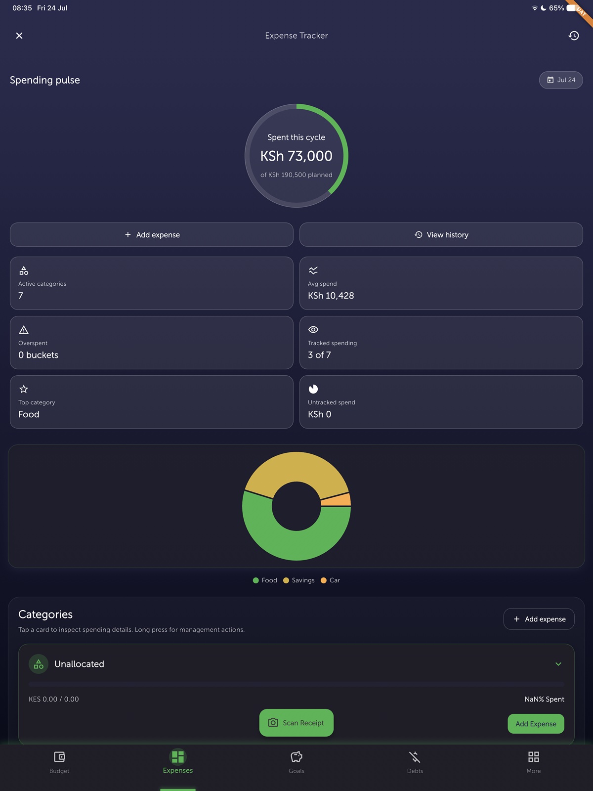 Zwela spending pulse overview on iPad